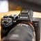 Image result for Sony a7s III Sample Images