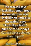 Image result for Top 100 Funny Quotes