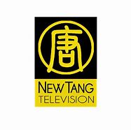 Image result for Chinese TV Station Logo