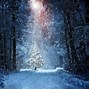 Image result for Winter Forest Wallpaper 4K 52 Inch