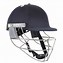 Image result for cricket helmet brands