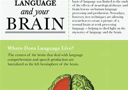 Image result for Can We Just Use Our Brain When We Talk