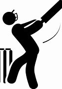 Image result for No Spikes Cricket Sign