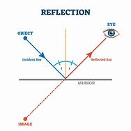 Image result for Reflection Off a Mirror