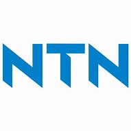 Image result for New NTN Logo