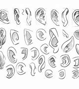 Image result for Sketck Left Cartoon Ear