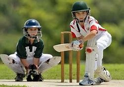 Image result for Top View Kids Cricket