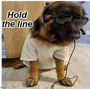 Image result for Dog Standing Holding Phone Meme