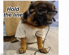 Image result for Dog Call Center Meme
