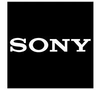 Image result for 7R5 Sony Logo