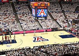 Image result for Arizona University Basketball