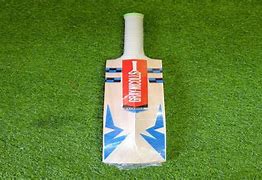 Image result for Cricket Bat Stlker