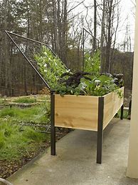 Image result for 2X8 Elevated Cedar Planter Box