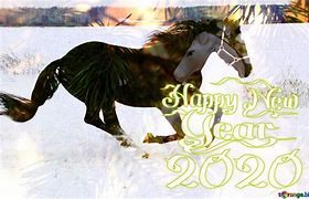 Image result for Funny Horse Happy New Year