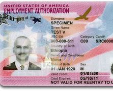 Image result for Work Permit Visa Number