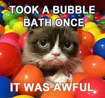 Image result for Grumpy Cat Disney Memes