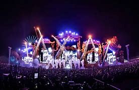 Image result for sunburn goa 2023