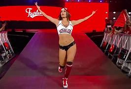 Image result for WWE Nikki Bella SummerSlam