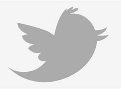 Image result for Twitter Logo Grey