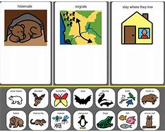 Image result for Boardmaker Pets Animals Farm Zoo 112