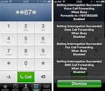 Image result for Send All Calls to Voicemail iPhone