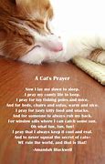 Image result for Cat Poems Death