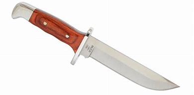 Image result for Buck Fixed Blade Hunting Knives