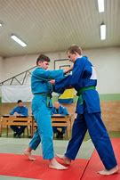 Image result for Martial Arts Fighting