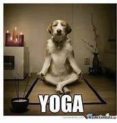 Image result for Exciting News Yoga Meme
