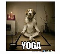 Image result for Yoga Class Meme