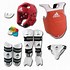 Image result for Youth Sparring Gear