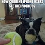 Image result for Long iPhone 5S Meme