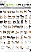 Image result for Toy Dog Breeds with Names
