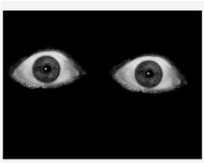 Image result for Creepy Picture Scary Eyes