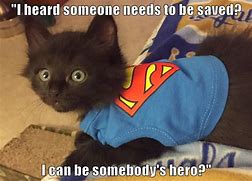 Image result for Cat Hero Meme