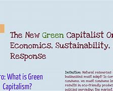 Image result for Green Capitalism