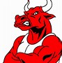Image result for Chicago Bulls See Red