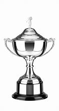 Image result for Silver Trophies