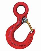 Image result for Crosby Eye Hook