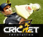 Image result for Game of Cricket