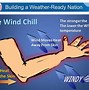 Image result for Cold Windy Day Meme