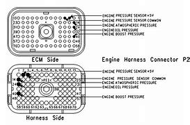 Image result for NXS Cat Ecm Pin Out