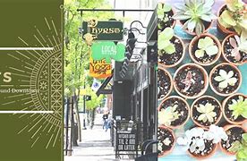 Image result for Local Events This Weekend