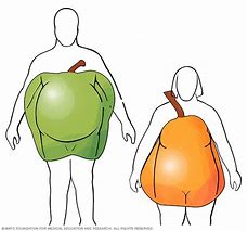 Image result for Pear Body Apple