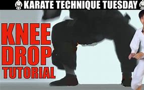 Image result for Crucial Karate Moves