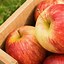 Image result for Apple Types and Benefits