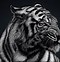 Image result for Tiger Locpaper Laptop Black