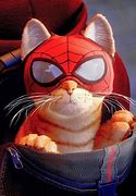 Image result for Spider Cat Miles Morales