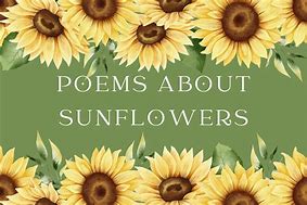 Image result for Sunflower Poem
