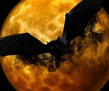 Image result for White Scary Bat